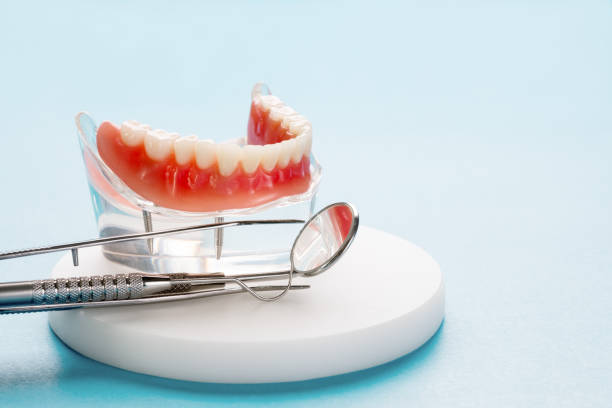 Professional  Holistic Dental Services in Little Elm, TX